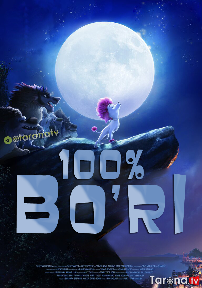 100 % Bo'ri (Multfilm , Uzbek tilida, O'zbekcha tarjima, komediya, sarguzasht, oilaviy) 2020